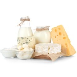 Sýry a mléčné výrobky