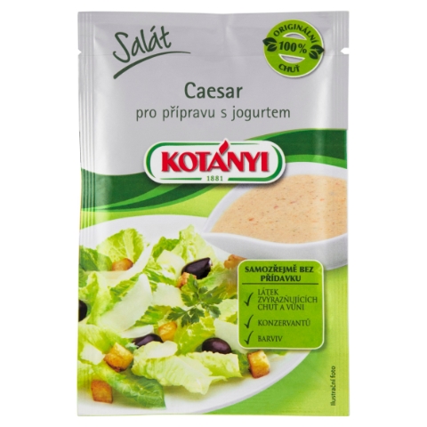 Kotányi Salát Caesar pro přípravu s jogurtem 13g