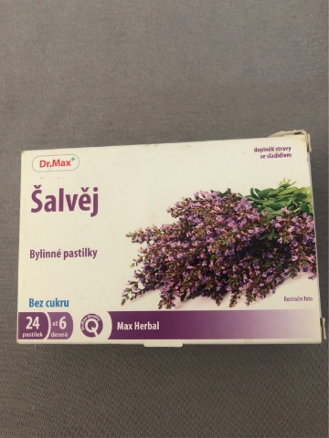 Dr.Max Šalvěj bylinné pastilky bez cukru 24 pastilek
