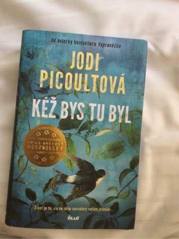 Kéž bys tu byl - Jodi Picoult